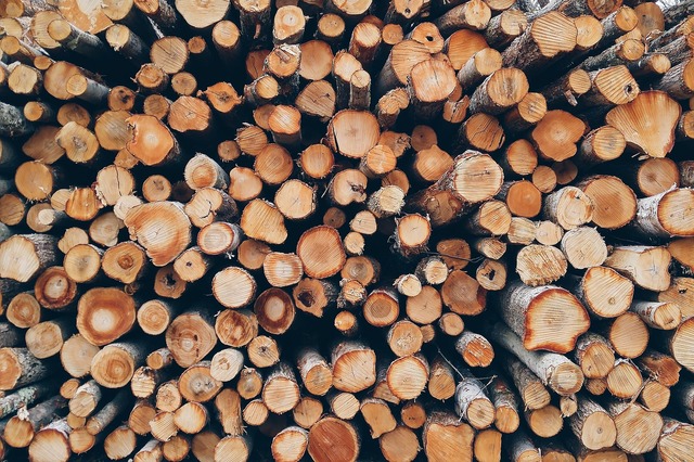 Avviso per la concessione gratuita di legna da ardere - Stagione invernale 2022/2023 